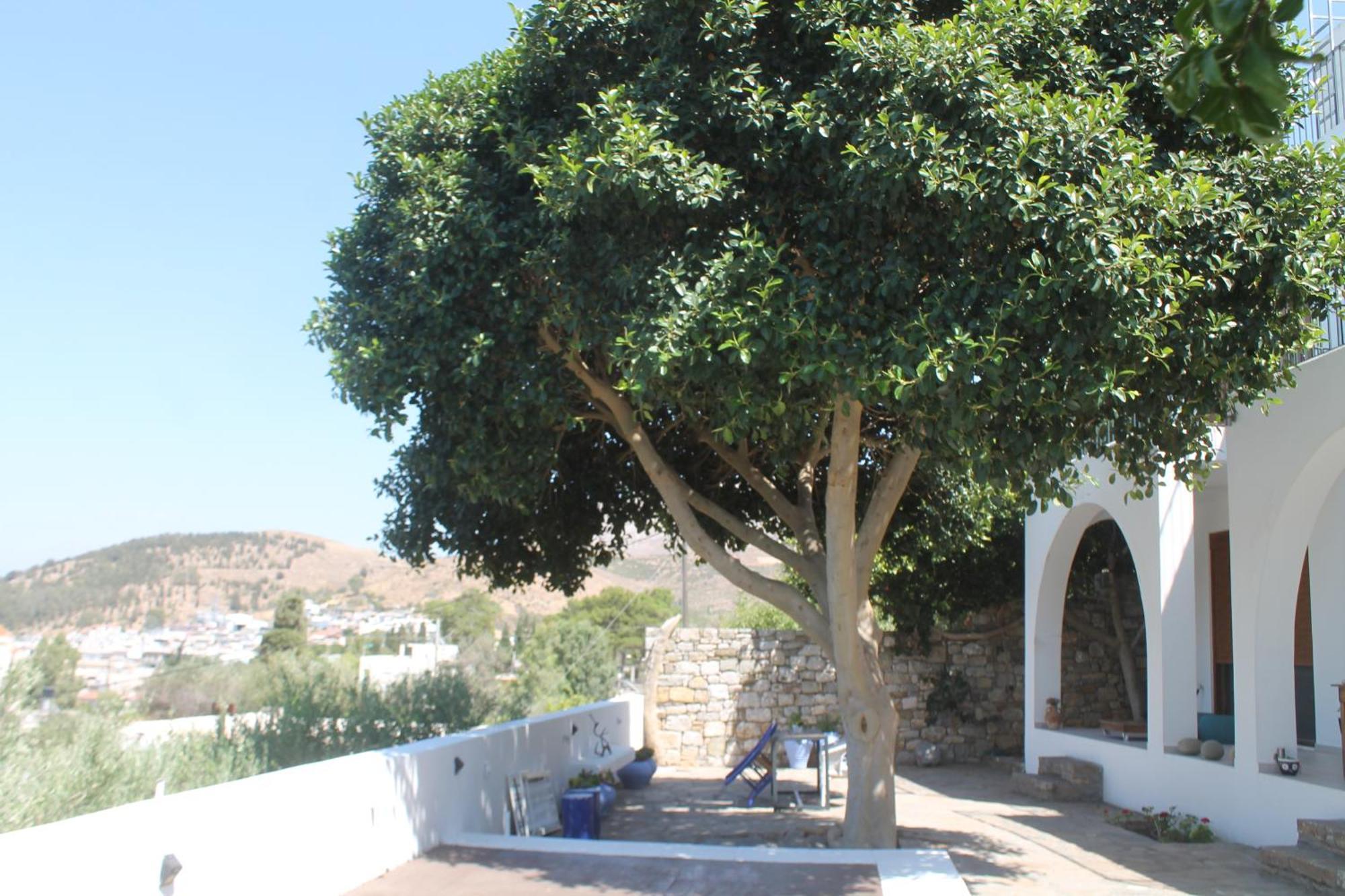 A Crystal Clear House In Pyrgos, Heraklion Crete Pirgos  Eksteriør bilde